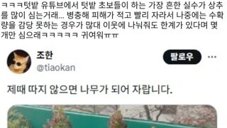 텃밭 가꾸기 초보들이 흔하게 한다는 실수.jpg