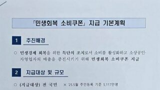 민생회복 소비쿠폰 지급 기본계획이라는 안?