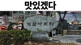 3년은 길었다.. 캣맘 정권 돌아보기
