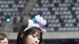 청와대.도배비 160억?
