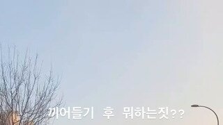 끼어들기 후 인성질 하는 벤츠