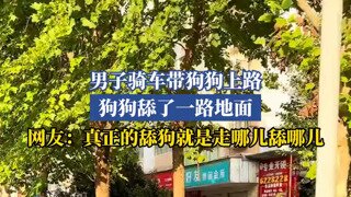 오도방 주행중 개가 바닥 핥는 영상
