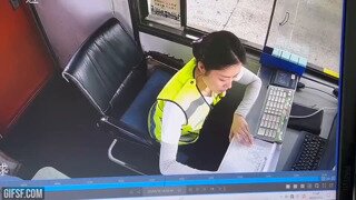 뱀에 깜놀한 요금소 직원.mp4...