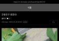 썸네일 이미지