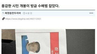 알바하다가 현상수배범 잡은 썰