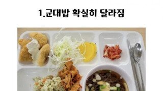 올해 전역자가 말하는 군대
