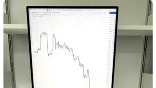 세로모니터가 필요한 이유