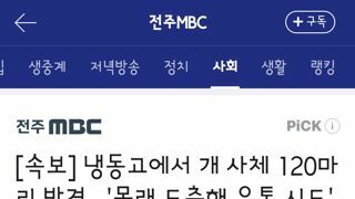 냉동고에서 개 사체 120마리 발견.. '몰래 도축해 유통 시도'