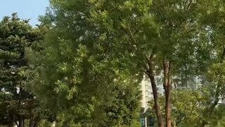 당장 한강 공원으로