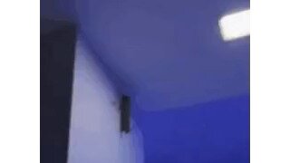 멕시코 벌레