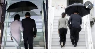 연합뉴스 우산비교 짤