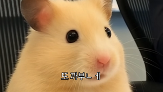 자꾸 딴지거는 직장동료에게 복수하는 방법