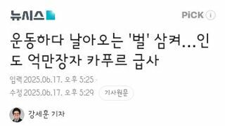 운동하다 날아오는 '벌' 삼켜…인도 억만장자 카푸르 급사