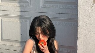 백지헌