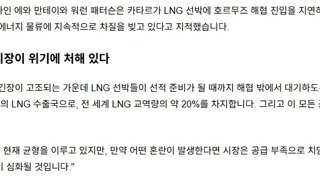 카타르. 호르무즈 해협 LNG 운항 중단.