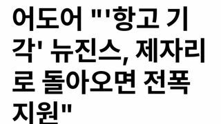 어도어 