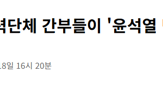 '윤석열 백골단' 리박스쿨 협력단체 간부들이 조직