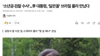 이재명대통령 브라질룰라대통령