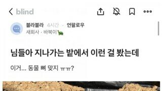 뼈 주운 블라인