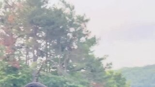 한글패치 완벽하게 함.mp4