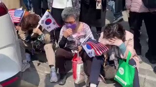 내란견들 아침 상황..