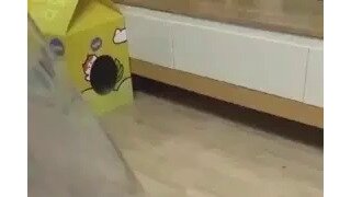 15센티와 18센티의 굵기 차이