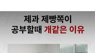 제과제빵이 개같은 이유