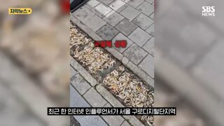 배수로 꽉 막은 담배꽁초..흡연자들 