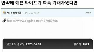 만약 예쁜 와이프가 학폭 가해자였다면?