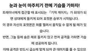 눈만 마주쳐도 배틀하던 포켓몬