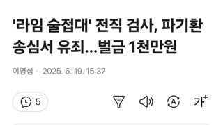 '라임 술접대' 전직 검사, 파기환송심서 유죄…벌금 1천만원