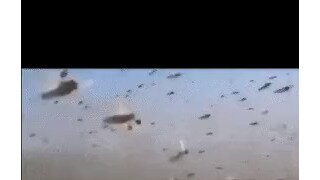 메뚜기군 vs 오리군 전쟁의 서막