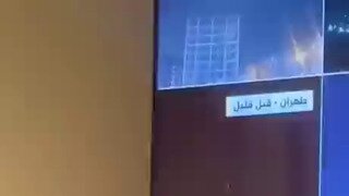 패트리어트캣