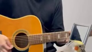 우울할때마다 보는 영상(소리)
