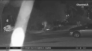 CCTV 공개된 거제 노견 비비탄 학대 살해 사건