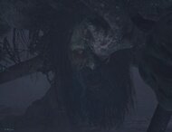 <center>DLC 챕터3 최종보스<br>비통에 눈먼 유적 수호자</center>