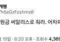썸네일 이미지