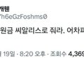 썸네일 이미지