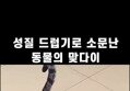 썸네일 이미지