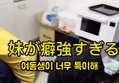 썸네일 이미지