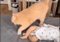 썸네일 이미지