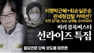 최은순 보유업체 폐업신고ㄷ