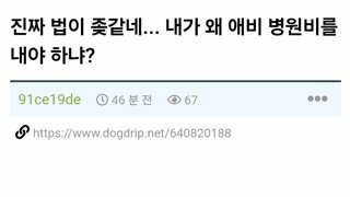 진짜 법이 ㅈ같네