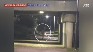이제는 러닝도 맘대로 못하겠네..