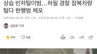 상습 빈차털이범…하필 경찰 잠복차량 털다 현행범 체포
