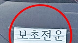 원래는 의무였던 '초보운전' 표기가 사라진 이유