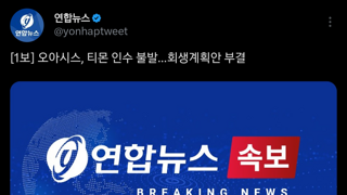 [속보] 오아시스, 티몬 인수 불발…회생계획안 부결