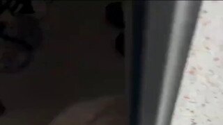 강아지 기준 최고의 환대.gif