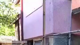 폐활량 좋은 닭