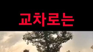 우회전 뭣같이하는 차